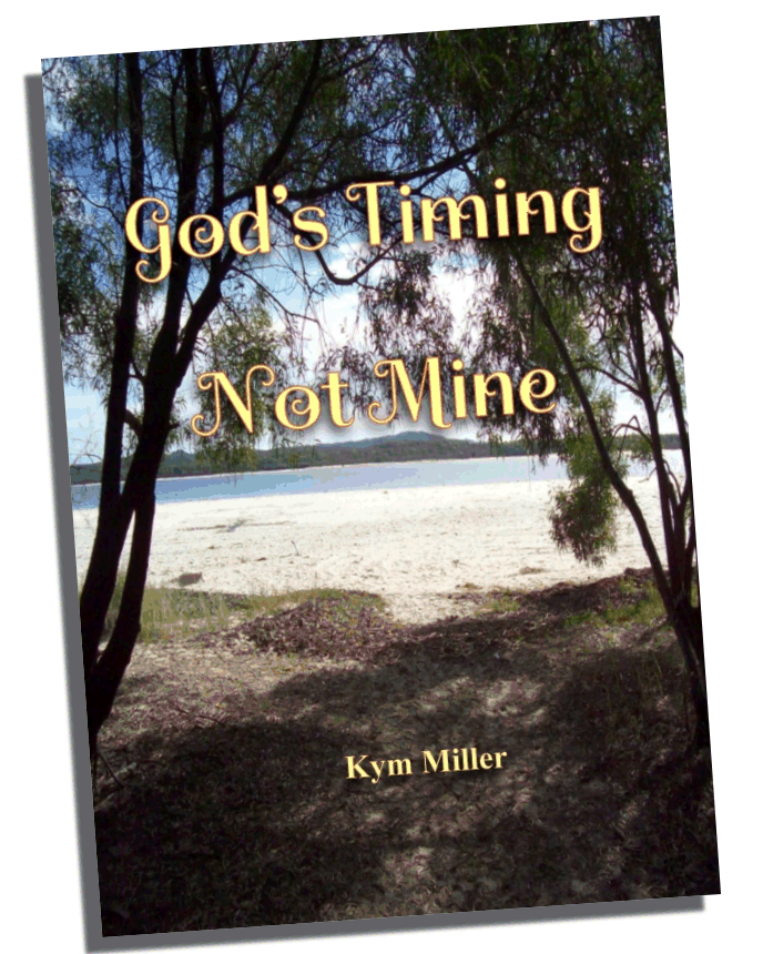 God's Timing Not Mine - book cover